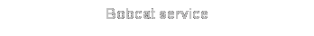 Text Box: Bobcat service
